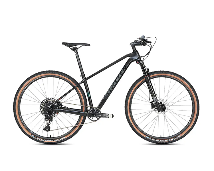 WARRIOR Pro Boost - Carbon Fiber Mountain Bike-3